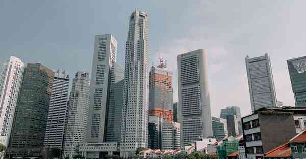 佛跳墙永久v2.